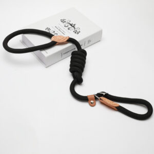 Slip Lead Dog Leash for Training and Walking