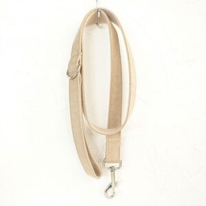 Creative Teddy Dog Leash for Comfortable Daily Walks