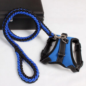 Adjustable Dog Harness Leash for Comfortable Daily Walks