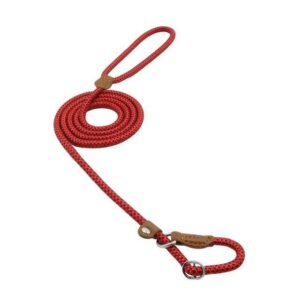 Sturdy Nylon Dog Collar Lead for Daily Training