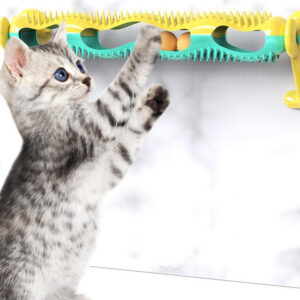 Orbit Ball Cat Toy for Indoor Rolling Play