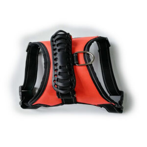 Adjustable Dog Leash for Daily Walking and Training