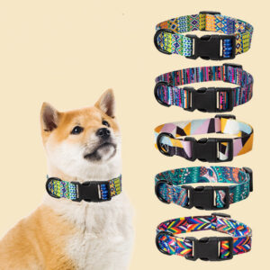 Adjustable Dog Collar and Leash Set for Walks