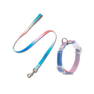 Gradient PVC Pet Leash for Stylish Daily Walks
