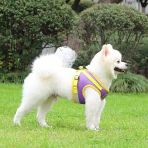 Reflective Breathable Dog Harness Leash for Daily Walks