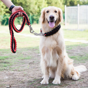 Heavy Duty Braided Dog Leash for Training Walks