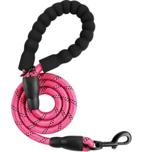 Heavy Duty Reflective Dog Leash with Padded Handle