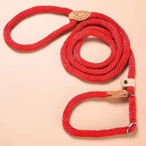 Integrated Dog Collar Leash for Outdoor Training Walks
