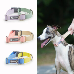 Waterproof Pet Traction Collar Leash for Outdoor Walks